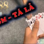 Luật Cách Chơi Bài Phỏm Đơn Giản, Dễ Hiểu